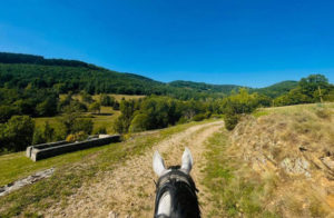 cheval rando ardeche