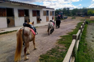 Stage d’équitation enfant 9-16 ans  Alpes de Haute Provence