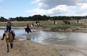 rando cheval bretagne