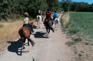 rando cheval enfant