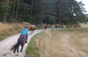 randonnee cheval ardeche