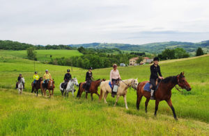 randonnee equestre ardeche