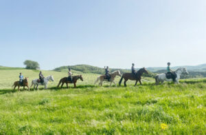 panorama de colline ardéchoise vu à cheval