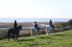 cheval charente maritime