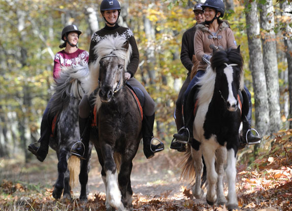 equitation poitou charentes