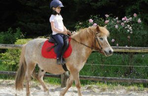 poney colonie vienne