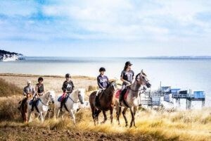 Colonie de vacances équitation 10-17 ans en Charente Maritime