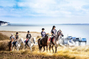 Colonie de vacances équitation ados en Charente Maritime