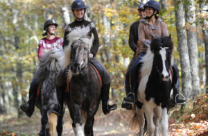 stage equitation ado vienne