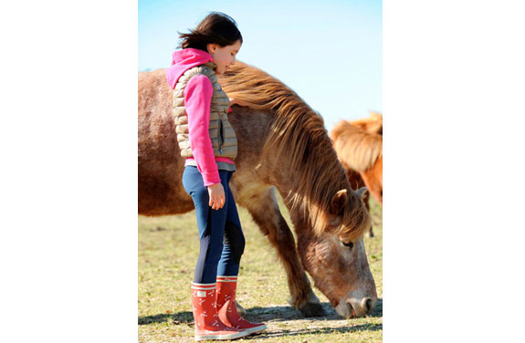 stage poney vienne