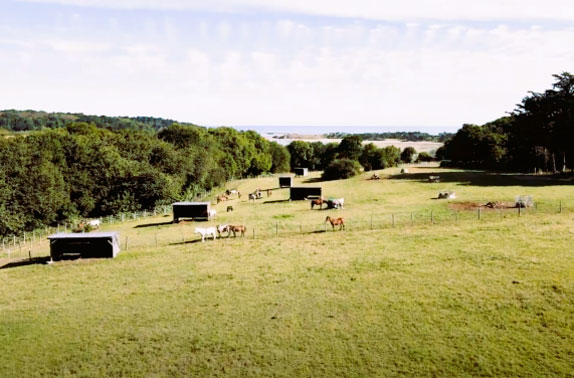 bretagne-chevaux
