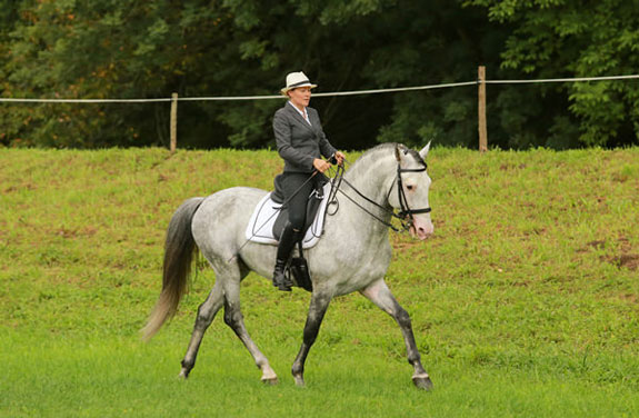 stage adulte Ariège