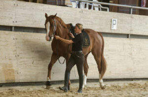 stage adulte Ariège