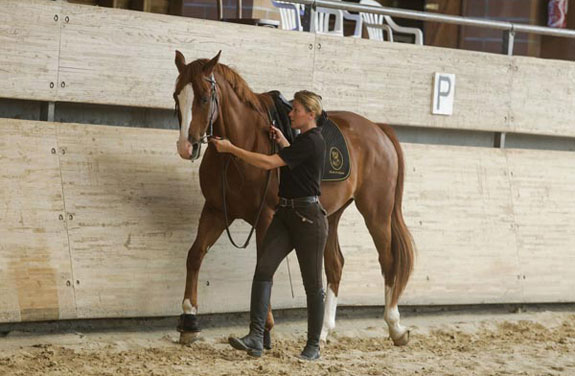 stage adulte Ariège