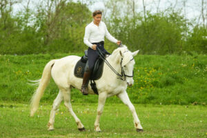 Stage d’équitation adulte perfectionnement en Ariège