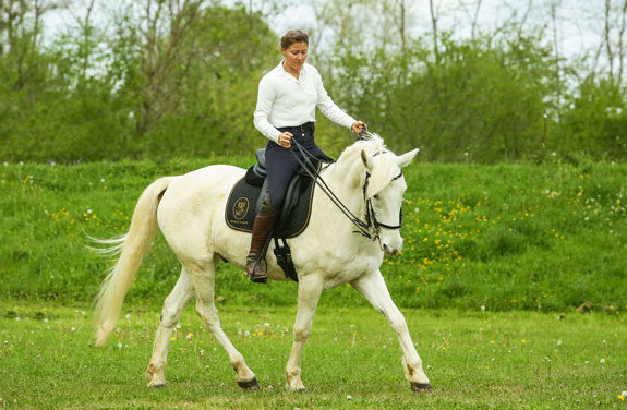 stage adulte Ariège