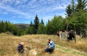 cantal initiation rando