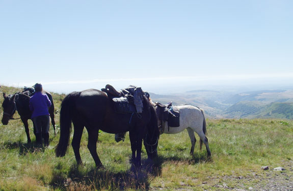 randonnée à cheval Cantal