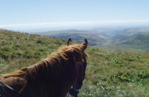 randonnée à cheval Cantal