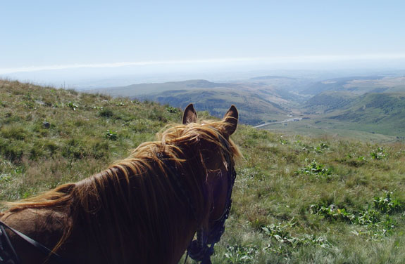 randonnée à cheval Cantal