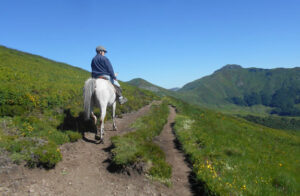 séjour cheval cantal