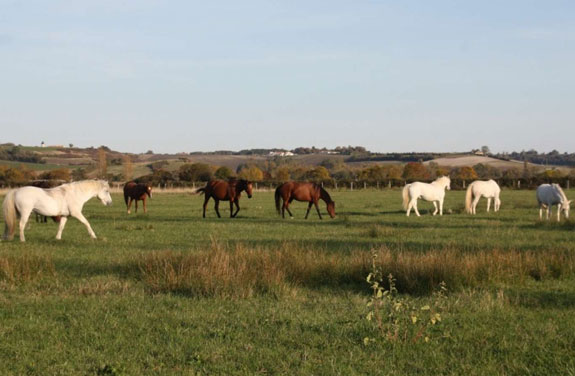 randonnee gironde