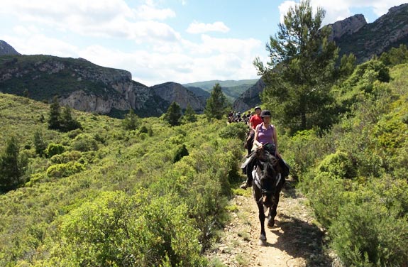 voyage à cheval Pyrénées à méditerranée