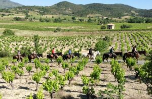 voyage à cheval Pyrénées à méditerranée