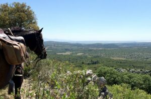 voyage à cheval Pyrénées à méditerranée
