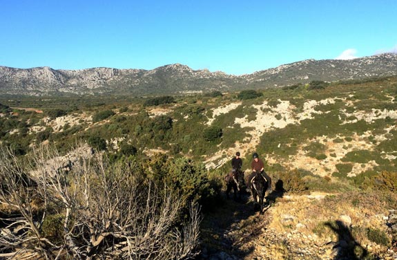 voyage à cheval Pyrénées à méditerranée