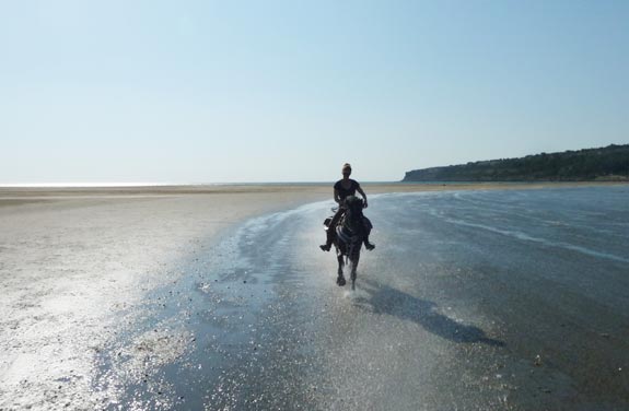 voyage à cheval Pyrénées à méditerranée