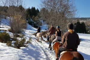 Balade à cheval dans le neige, Cantal