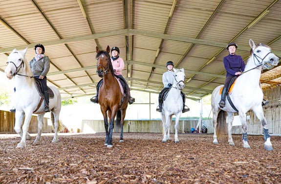 stage d'équitation pour adulte