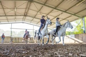 Stage d’équitation pour adulte en Lot et Garonne