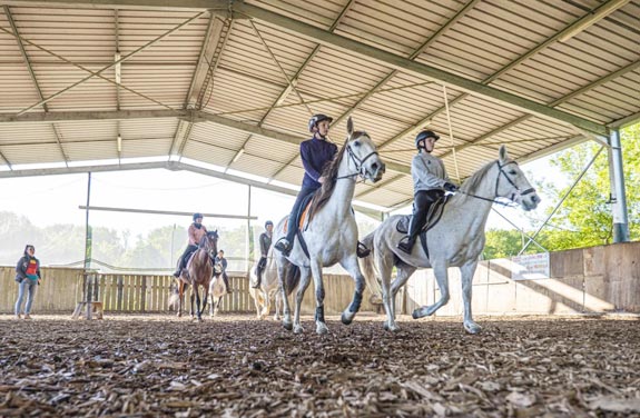 stage d'équitation pour adulte