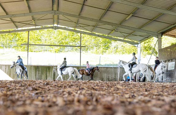 stage d'équitation pour adulte