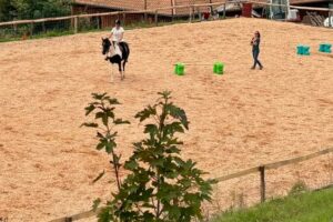 Stage d’équitation pour adulte en Lot et Garonne