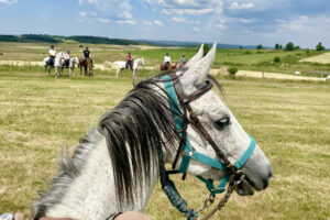 Randonnée à cheval en Ardèche