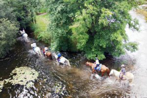 Randonnée à cheval de 2 à 5 jours en Sud Touraine