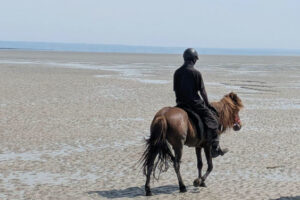 Randonnée équestre en Bretagne – 8 jours à cheval sur des islandais jusqu’au Mont-Saint-Michel
