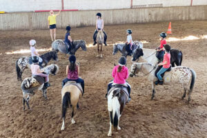 Colonie équitation pour passionnés 10 à 17 ans – Tarn et Garonne