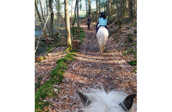 rando équestre en bretagne