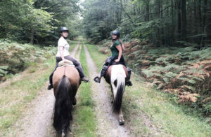 rando cheval en bretagne chevaux Islandais