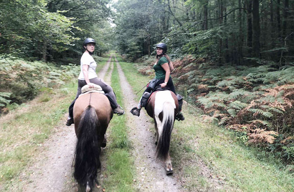 rando cheval en bretagne chevaux Islandais