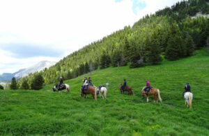 randonnée à cheval dans les Hautes Alpes groupe de cavalières