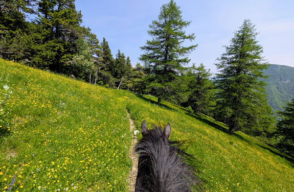 randonnée à cheval dans les Hautes Alpes petit sentier