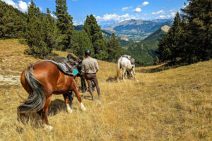 Randonnée à cheval dans les Hautes-Alpes : 2 jours au cœur des grands espaces