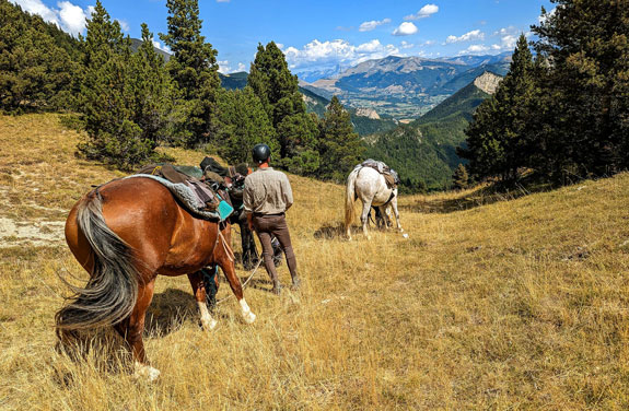randonnée à cheval dans les Hautes Alpes petite pause