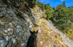 randonnée à cheval dans les Hautes Alpes sentier de montagne