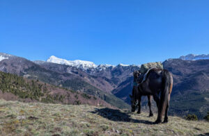 Point de vue - randonnée équestre en montagne dans les Hautes Alpes